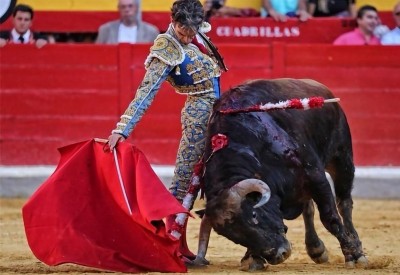 04 José Tomás en Granada 22 06 19 desconocido.jpg