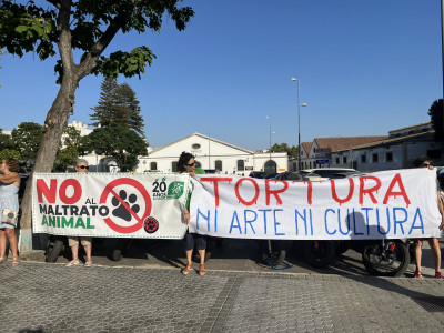 Puerto de Santa María Manifestación antitaurina.jpg