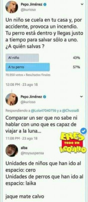 Animalistas Niño Perro elección.jpg