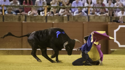 Marco Pérez Novillero.jpg