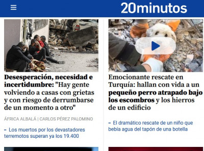 Turquía rescate perro.jpg