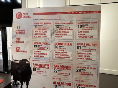 Copa Chenel ternas.jpg