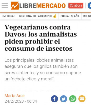 animalistas prohibir consumo insectos grillos.jpg