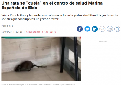 Rata centro de saluld.png