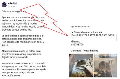 Animalistas pedir dinero.jpg