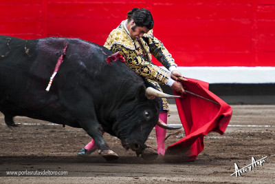 Morante de la Puebla en Bilbao 2014.jpg