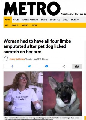 Mascotas enfermedades contagio.JPG