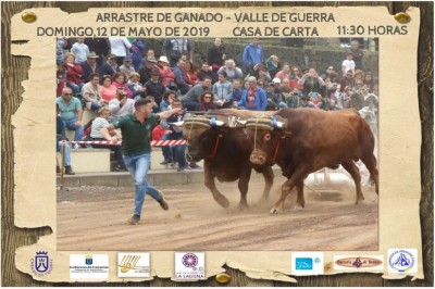 Arrastre 2019 Pruebas de 12 mayo.JPG