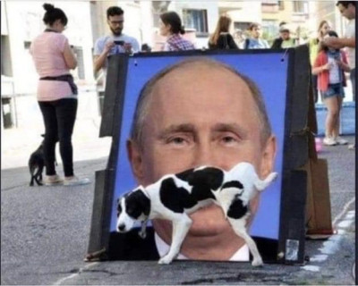 Ucrania perro mear putin.jpg