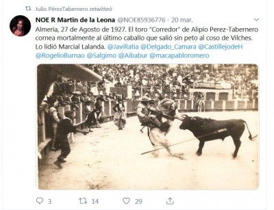 Almería último caballo sin peto.jpg