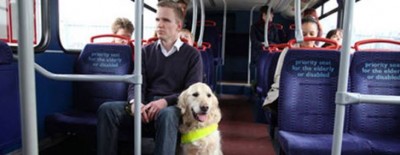 perros guia transporte publico.JPG