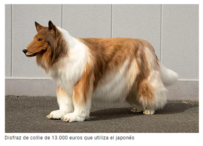 disfraz perro collie japones.png