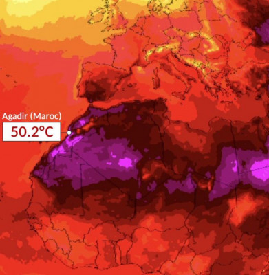 mapa de calor Meditrráneo norte y sur.jpeg