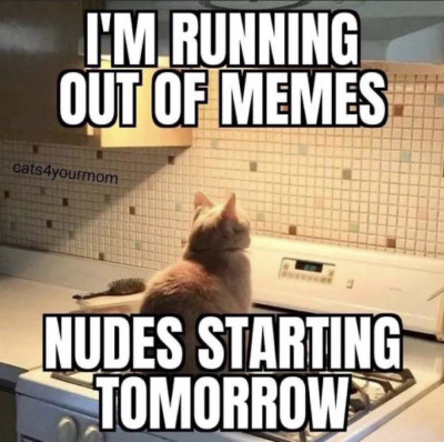 desnudos y memes.jpeg