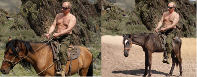 Putin y su caballo.jpg
