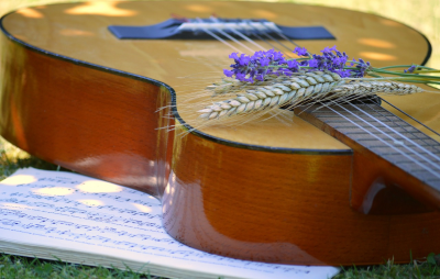 Flamenco crescendo madrid gratis.png