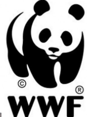 wwf foto logo.JPG
