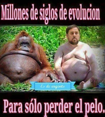 millones de siglos de evolución para solo perder el pelo Junqueras.jpg