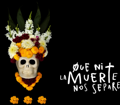 casa mexico madrid gratis.png
