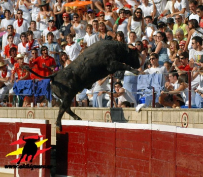 Quesero desde otro ángulo.jpeg