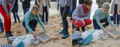 A la caza del pellet Yolanda Diaz.jpg