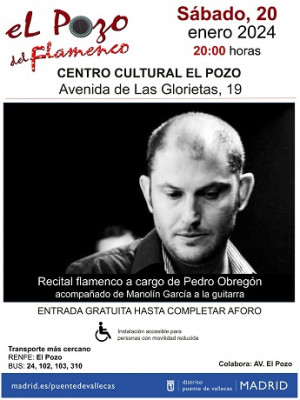 Recital de flamenco de Pedro Obregón madrid gratis.jpg