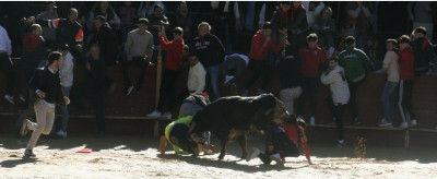 Peligro en el albero de La Puebla del Río.jpeg