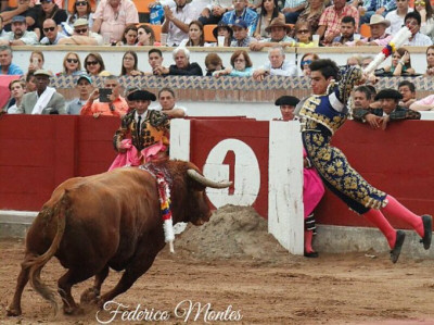 acrobacia de JE Colombo o banderillas.jpeg