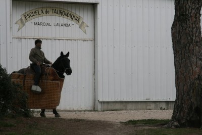 Tentadero Caballo Gabriel y picador Manuel 15 dic.jpg
