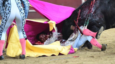 GG Pulido cogido en Valdemorillo.jpg