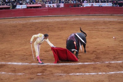Enrique Ponce a dos metros del toro en México.jpg