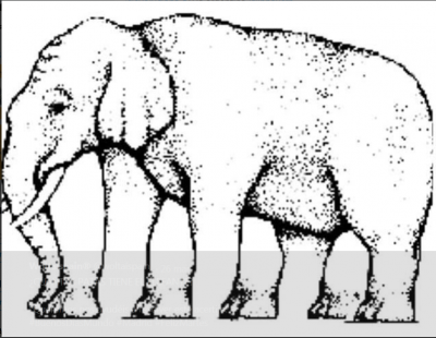 Contar patas de elefante.PNG