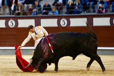 Buenos días Antonio Ferrera toro Vagonero 670 kg cuadri Las Ventas D Ramos Oreja.jpeg