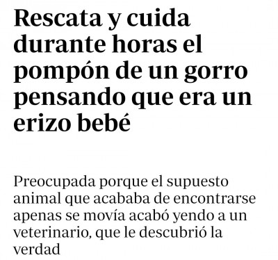 pompón de gorro y cría de erizo.jpeg