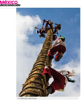 Voladores Mx.jpg