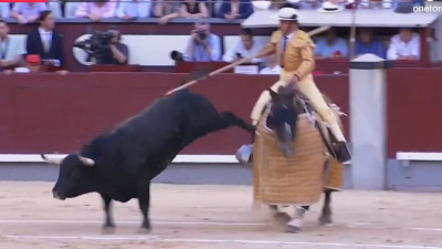 toro cocea picador.jpeg