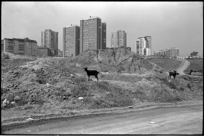 javier campano madridgratis.jpg