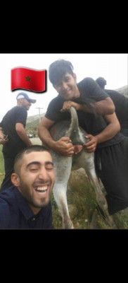 jovenlandia cabra.jpeg