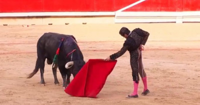 11 jul 2024 Juan Ortega debuta en Pamplona toro de Domingo Hernández.jpeg