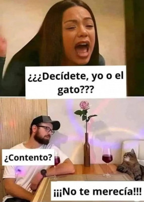 estado sentimental.jpg