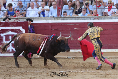 Phillippe Gil Mir Reta Sánchez Vara.jpg