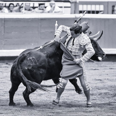 Andrew Moore Premio fotografía bilbao 2024 el diestro Juan Ortega.jpg