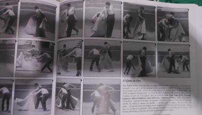 quite de oro en fotos.jpg