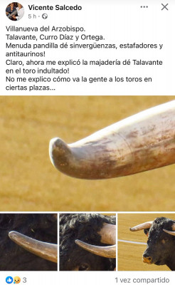 Talavante estuvo precavido.jpg