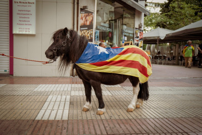 diada 2024.jpg