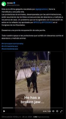 animalistas solicitar dinero animales heridos.jpg