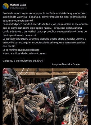 Murteira Grave Toro o novillo para festival.jpg