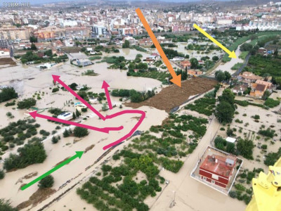 tuitero anonimo explica inundación por atasco de cañas y árboles.jpg