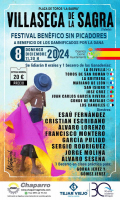 Cartel de Villaseca Festival Pro Valencia.jpg