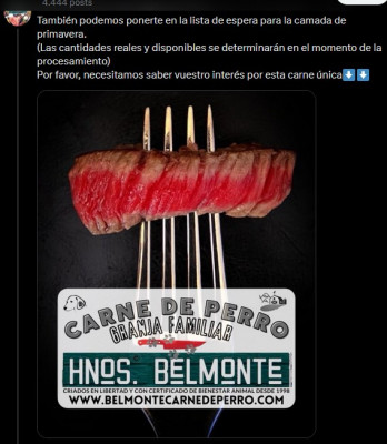 carne de perro hnos belmonte.jpg